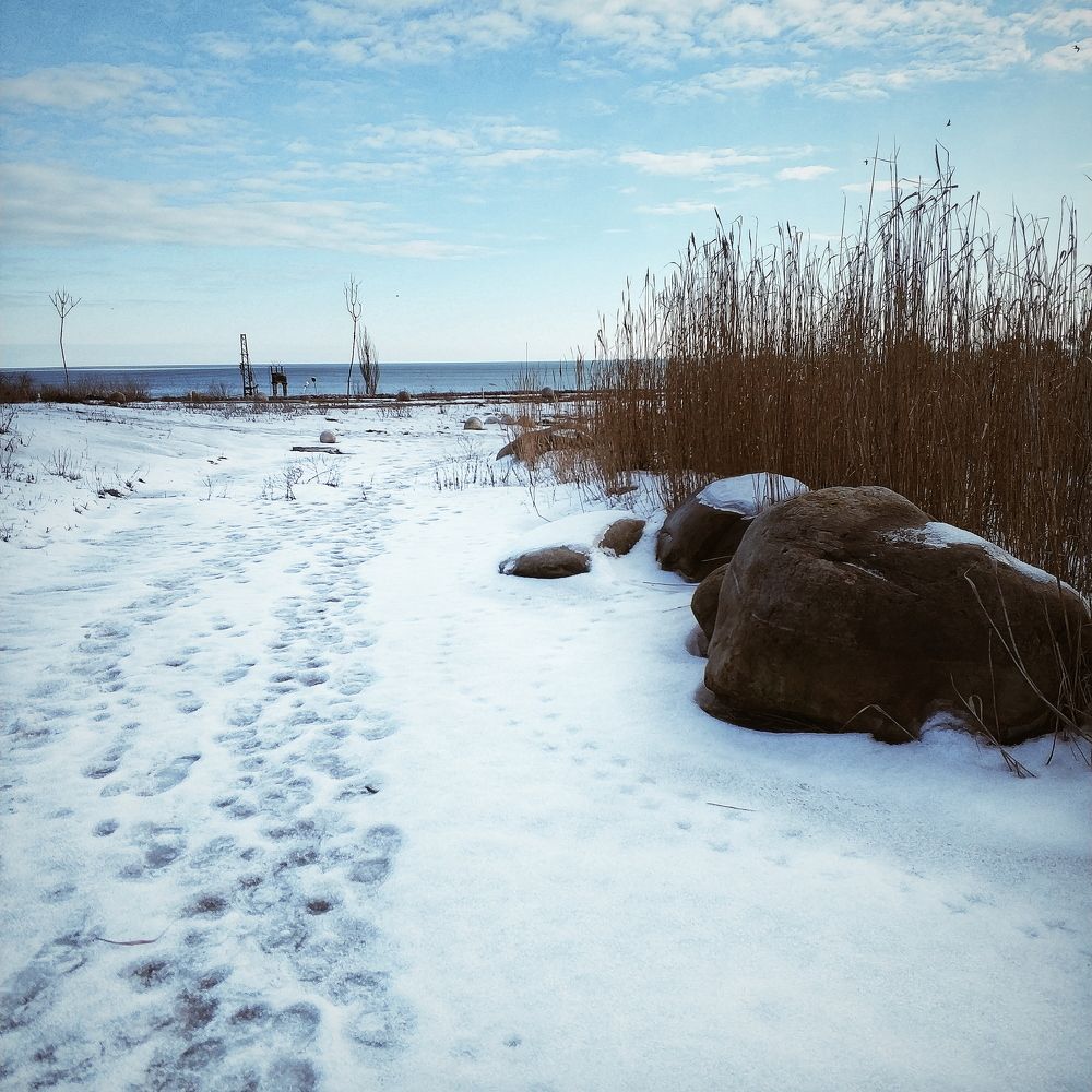 Снежная дорога