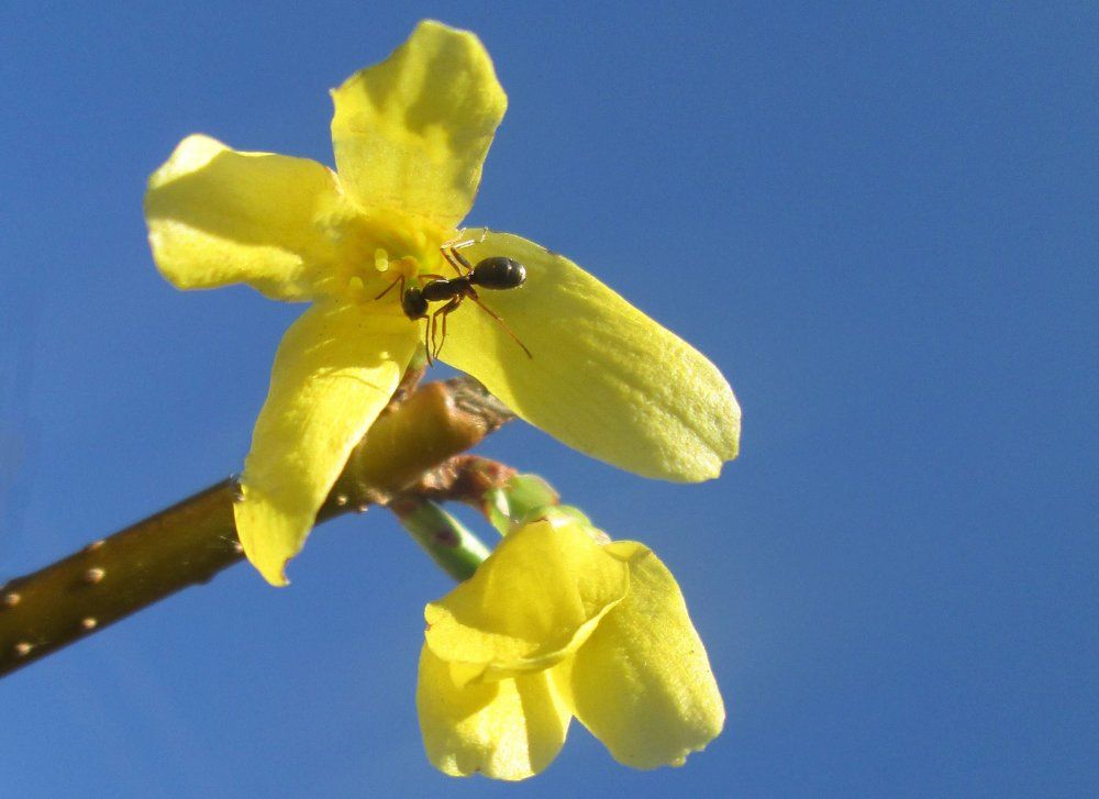 Photograph by Іваннакоцан