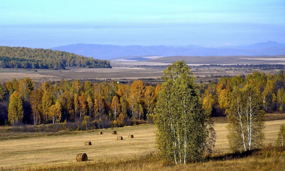 Просторы у Замотохино