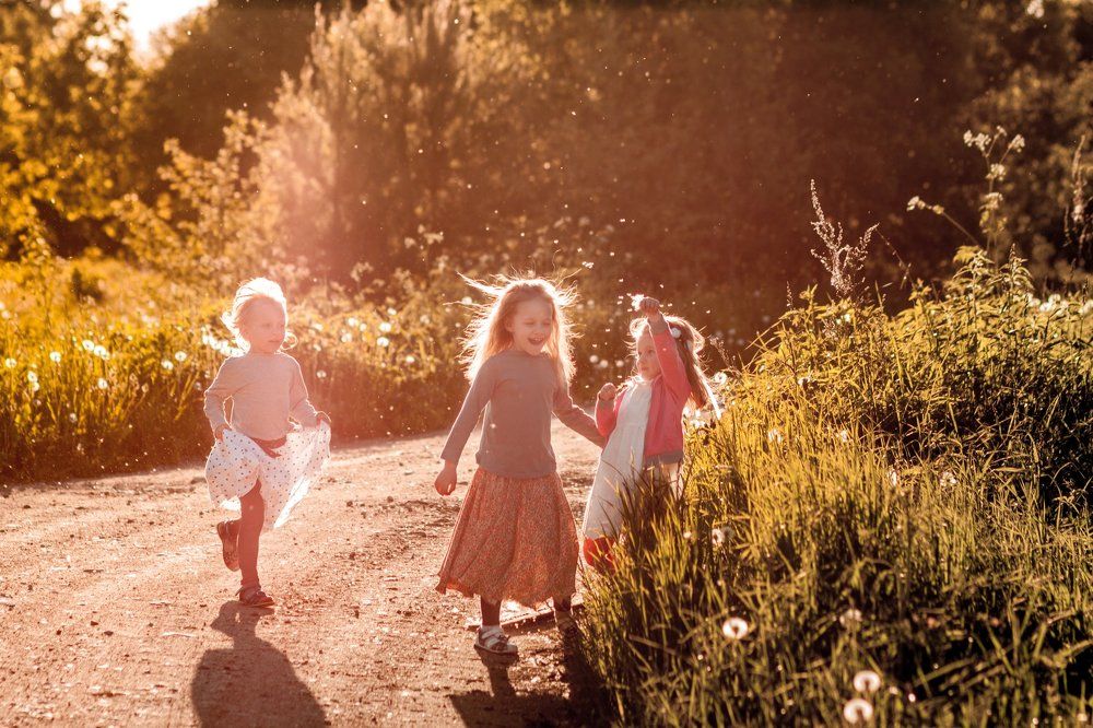 Лето в деревне