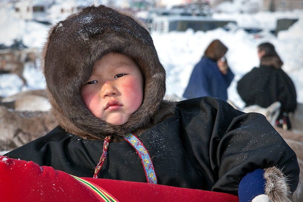 Маленький оленевод. Крайний север России.