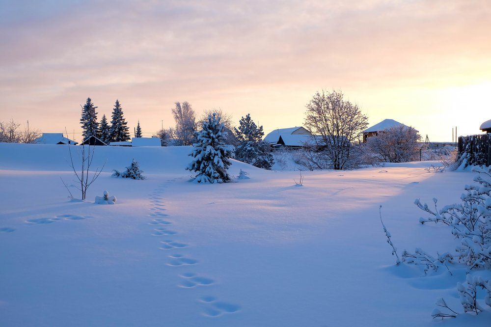 Кулига, Тюмень