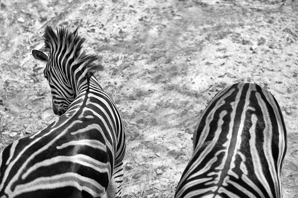 Начало и конец