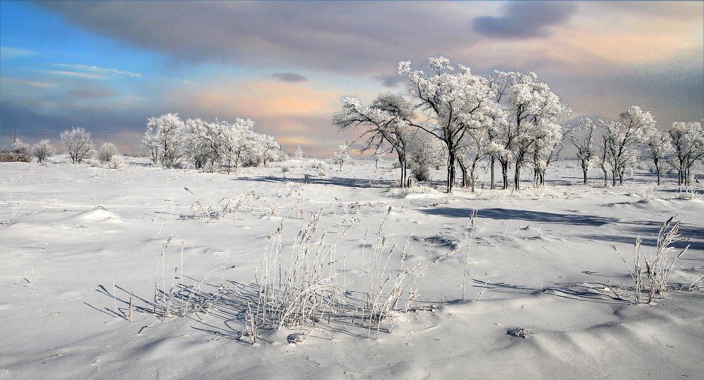 Photograph by Андрей Ефимов