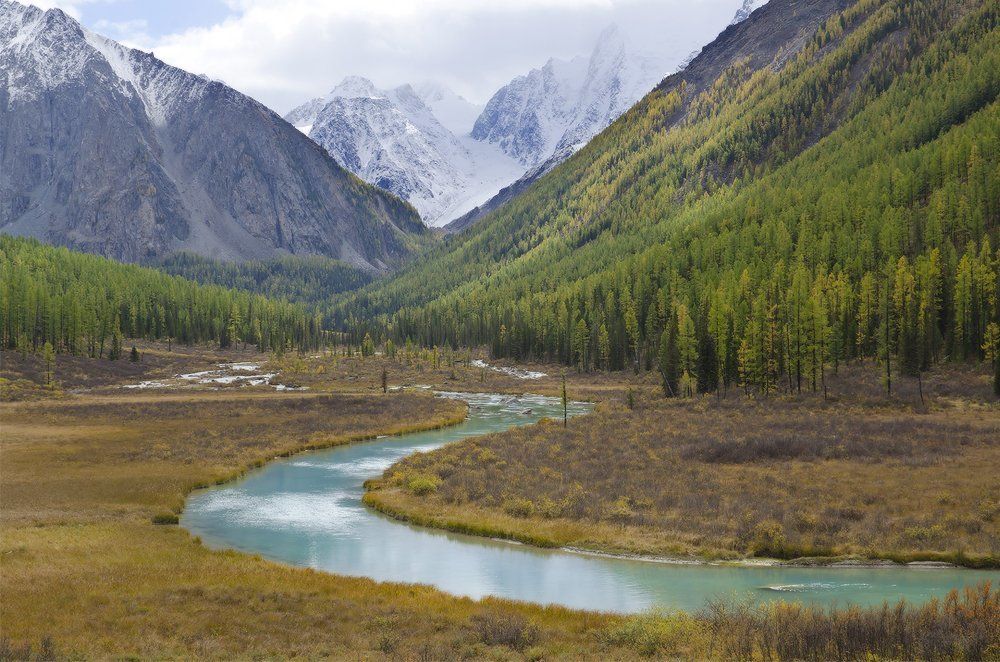 касаясь красоты