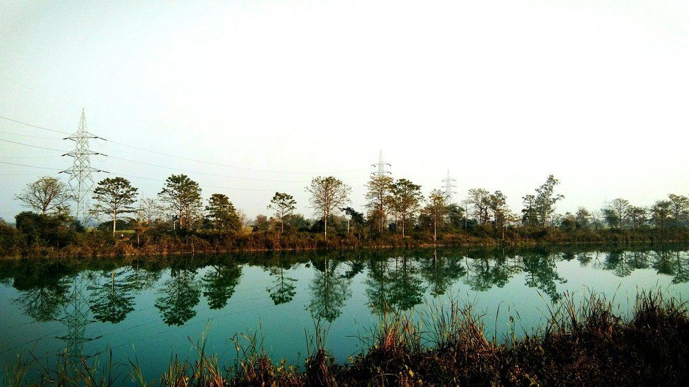 A canel from Sharda