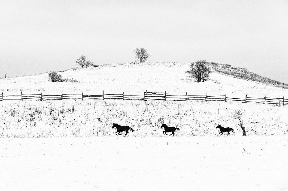 По первому снегу.