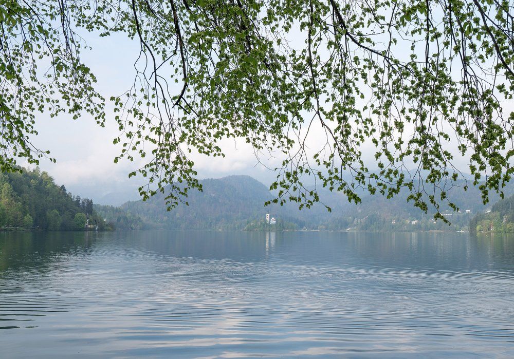 Нежное утро