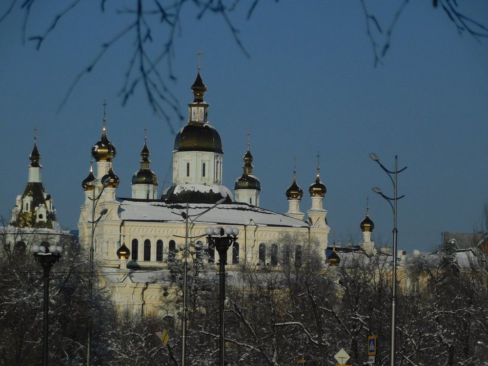 Зимнее наслаждение