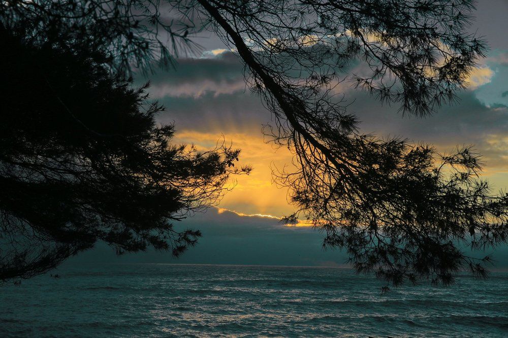 Морской этюд...