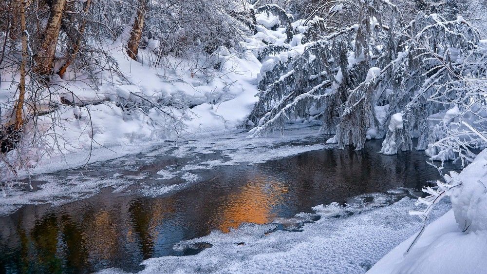 Зимний свет