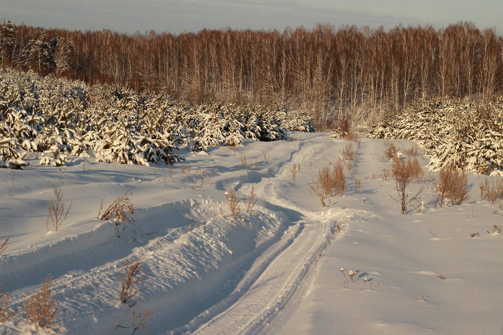 Photograph by Мазур Максим