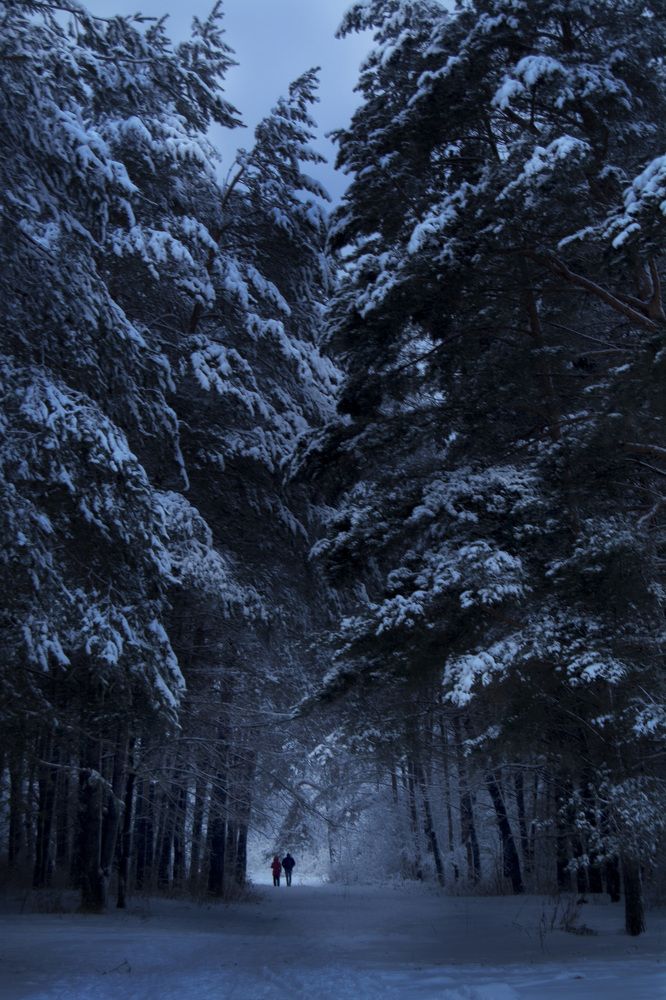 Проход в сказку