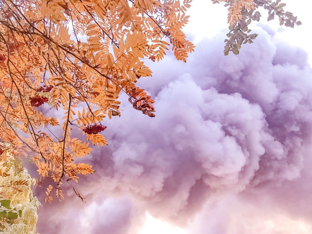 Photograph by Ася Кострова