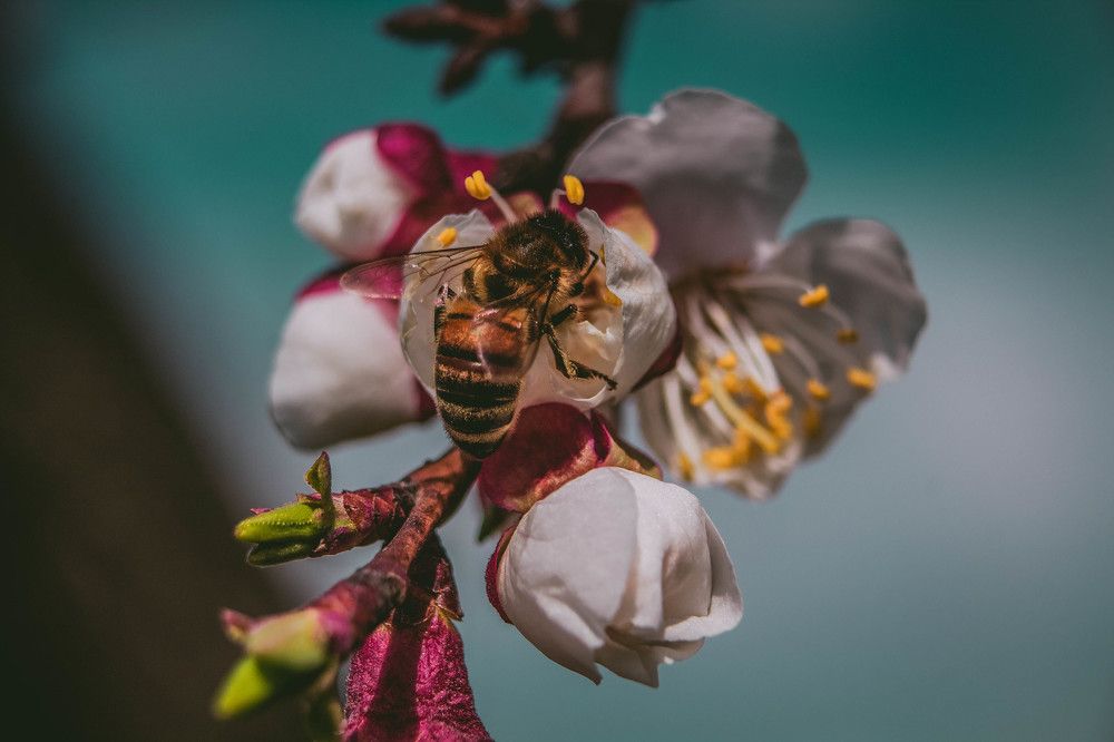 Весняний трудовий день.