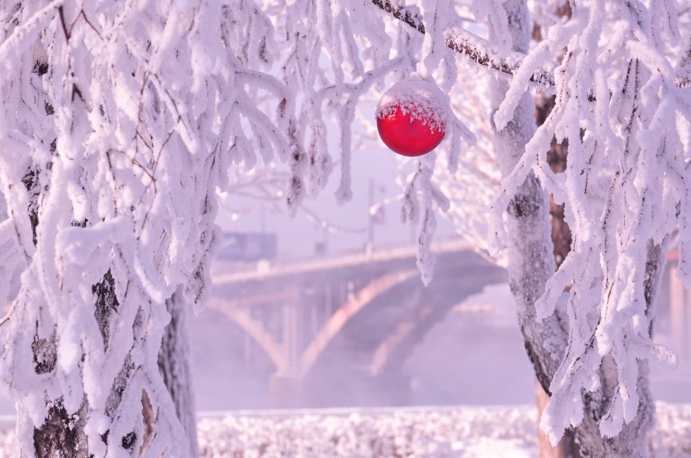 Зима в розовых тонах.