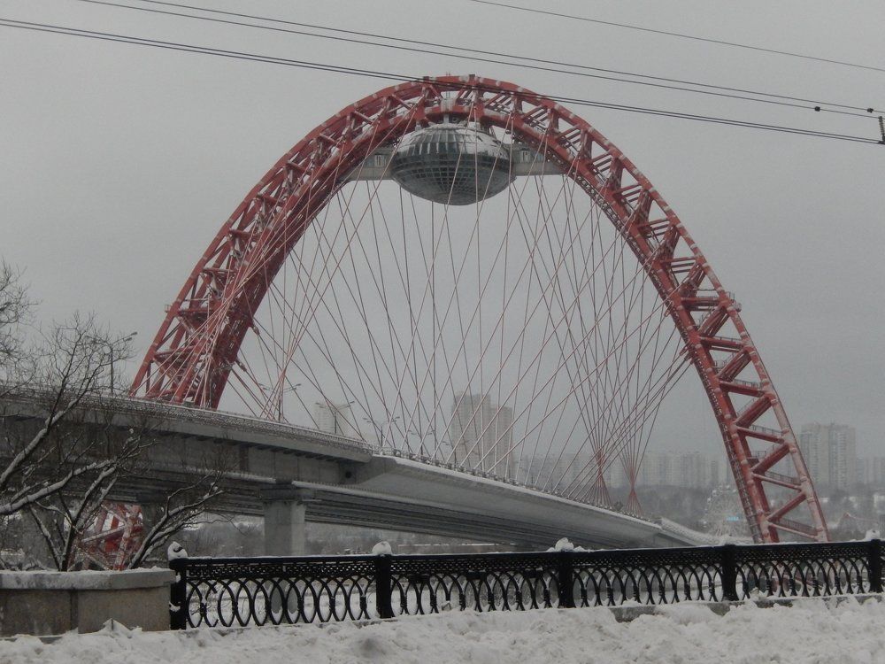 Photo #2188868