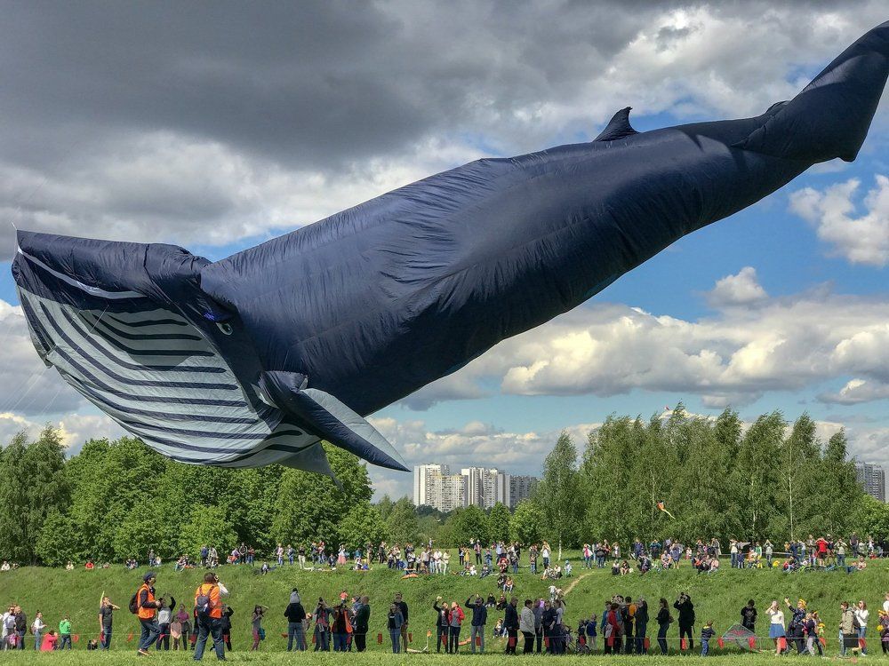 Photograph by Ася Кострова