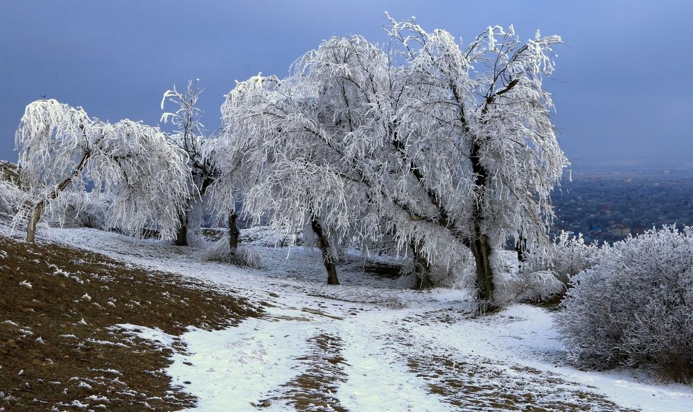 февральские морозы