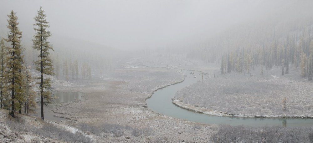 там, за снежной пеленой