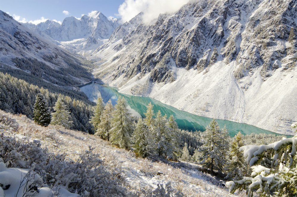 алтайский изумруд