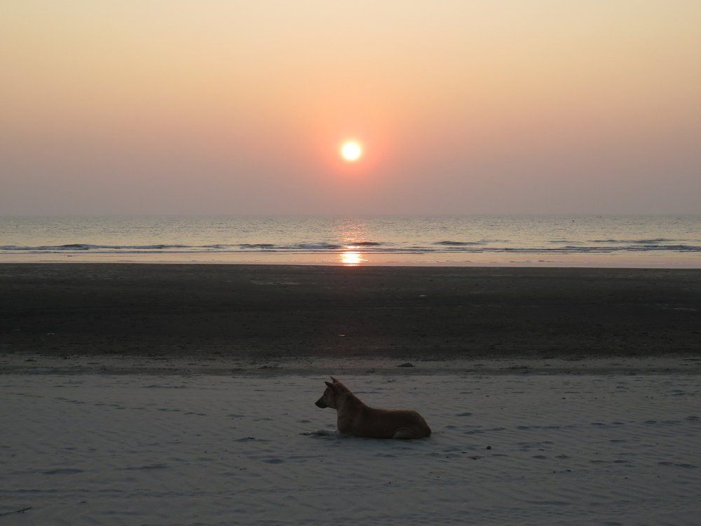 Lonely
