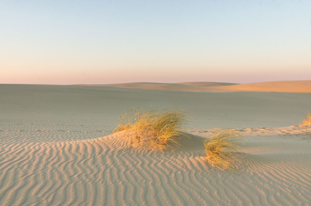 Утро в дюнах-2