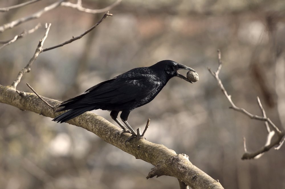 Photograph by Станислава Войцеховская