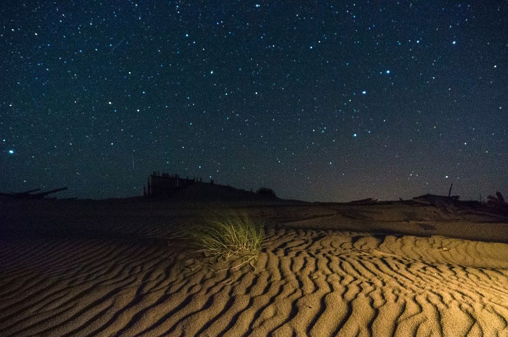 Ночь в дюнах