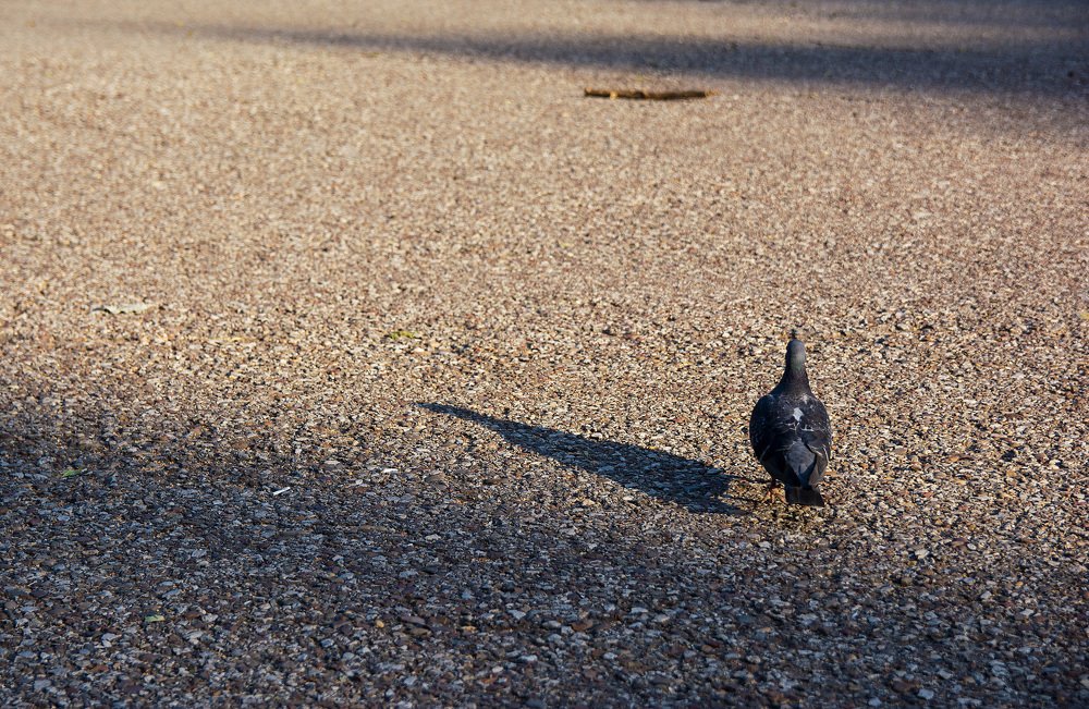 Солнечные часы