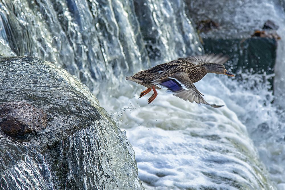 Момент взлёта