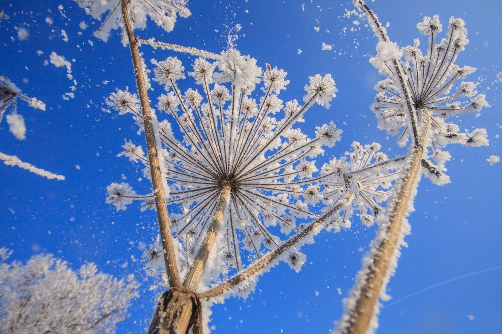 Зимний солнечный день