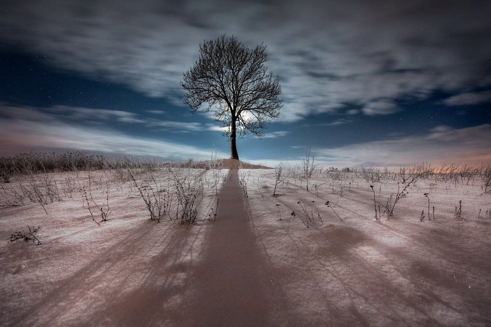 When the night comes