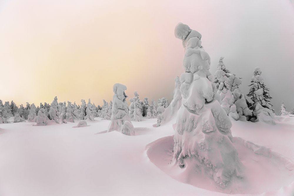 Метель на рассвете