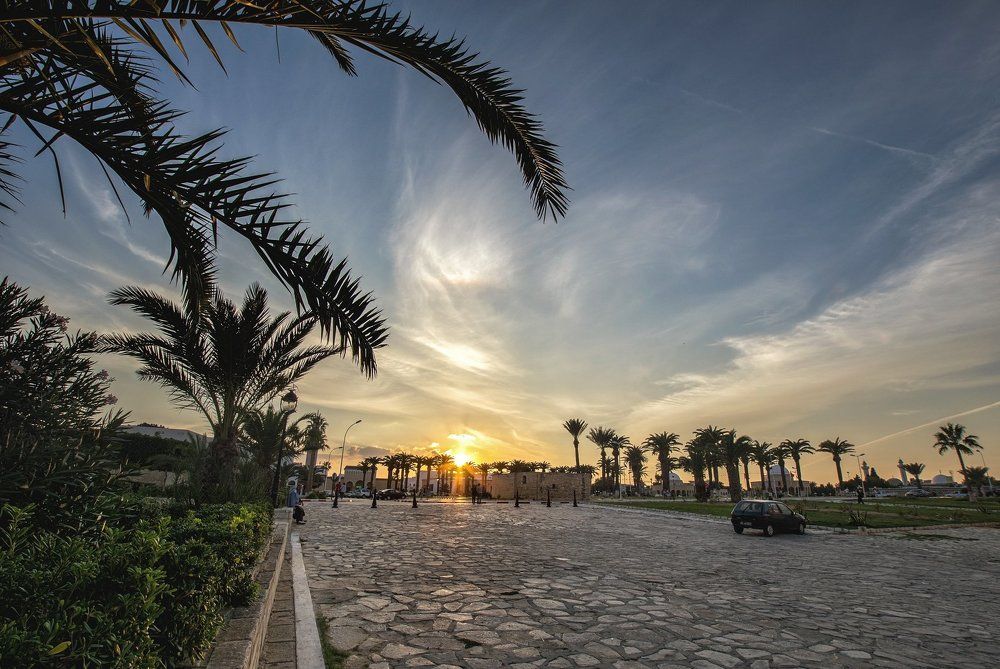 На закате под пальмами