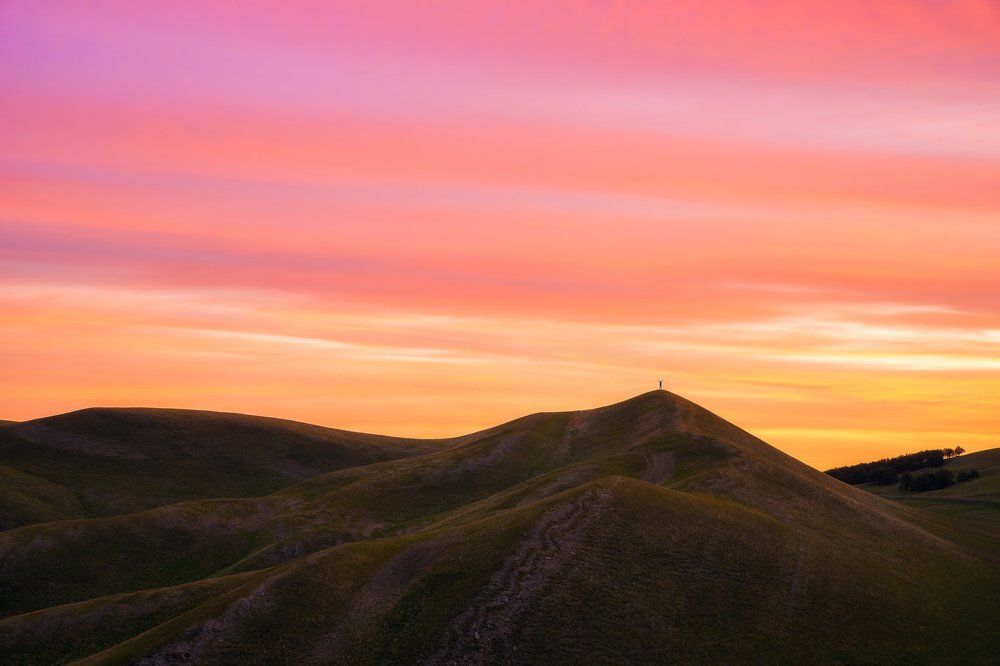 Здравствуй, утро. Я так тебя ждал!