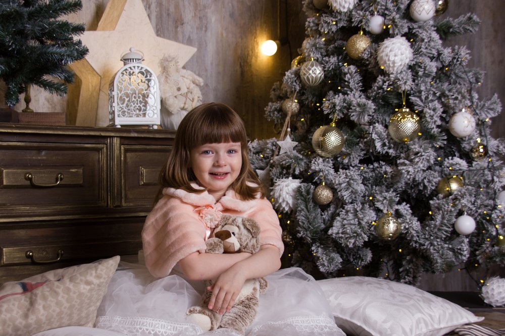 Принцесса, в ожидании Новогоднего чуда