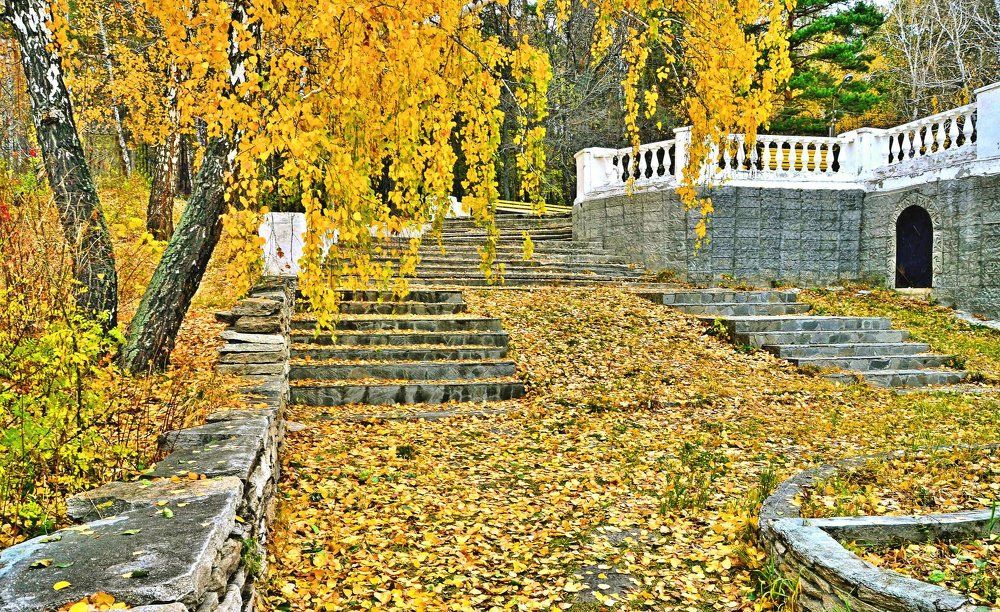 Осень желтая ..