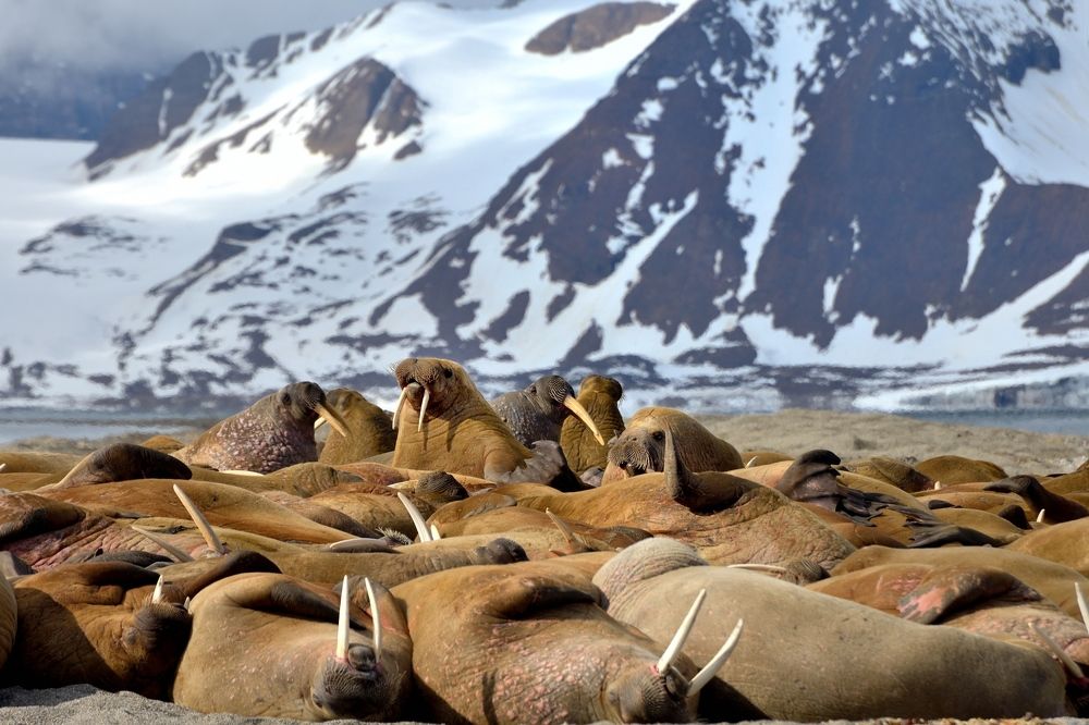 Отдыхай, но контролируй!