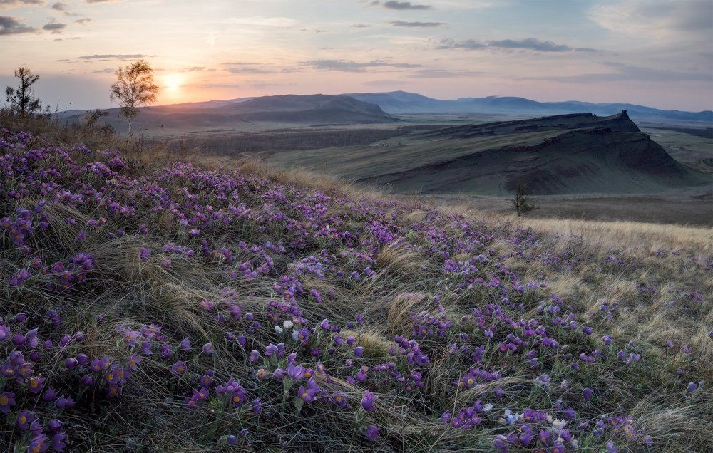 Цветочный закат