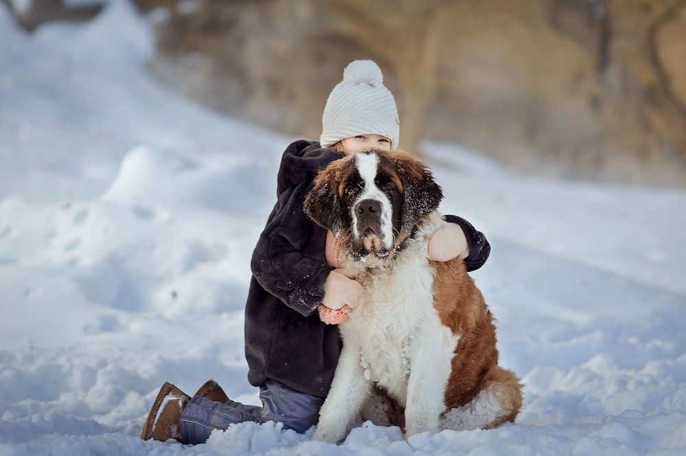 Большой друг