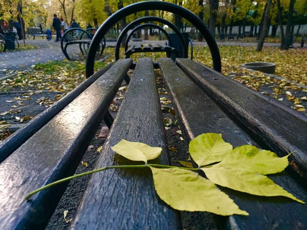 Осень в парке