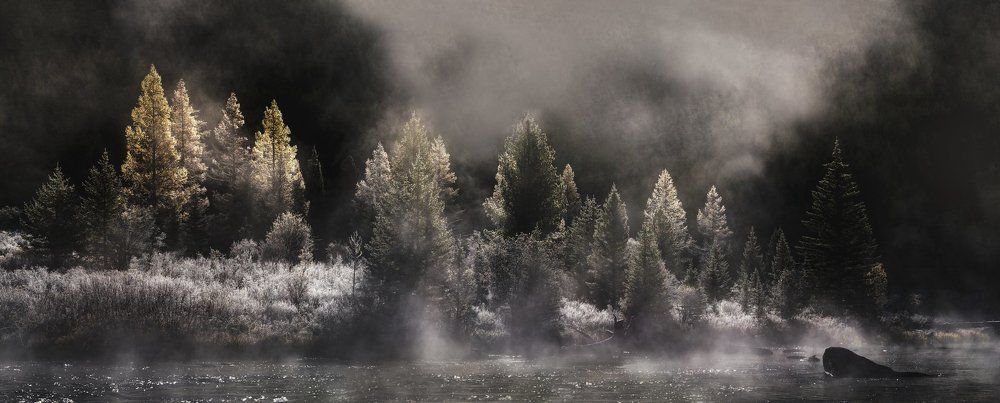 Серебро утра