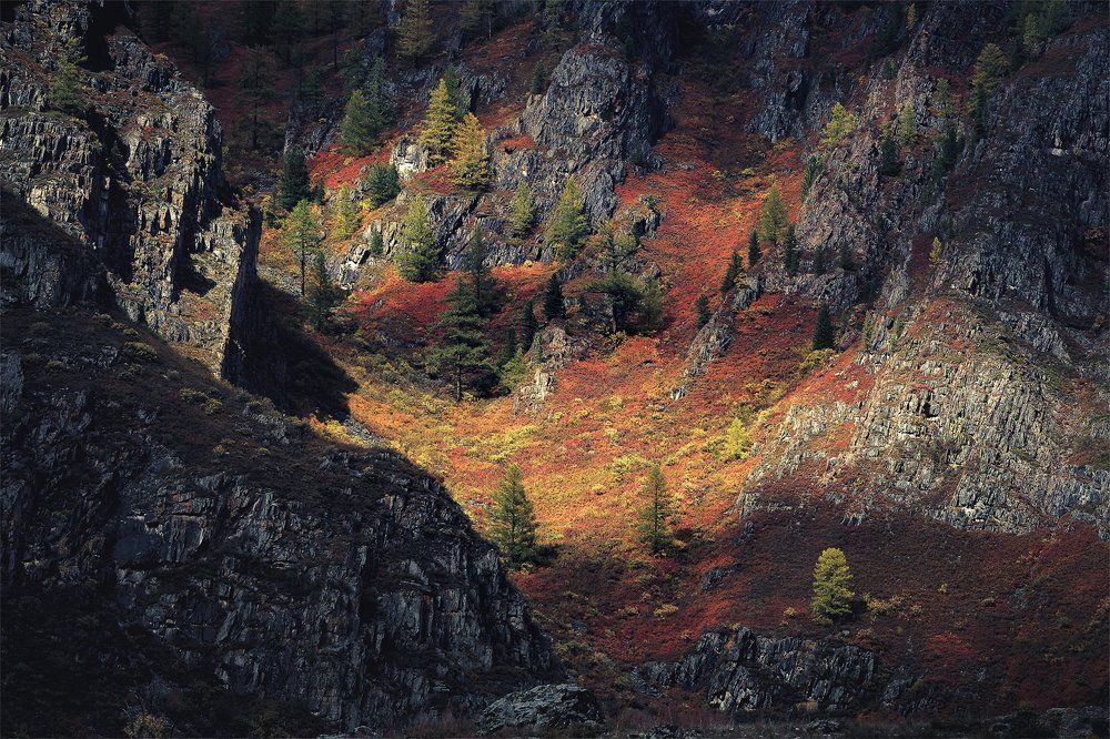 Краски осени