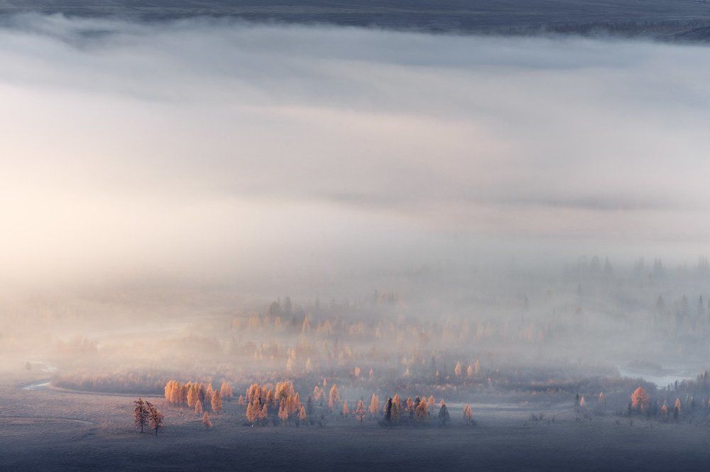 Туманное утро