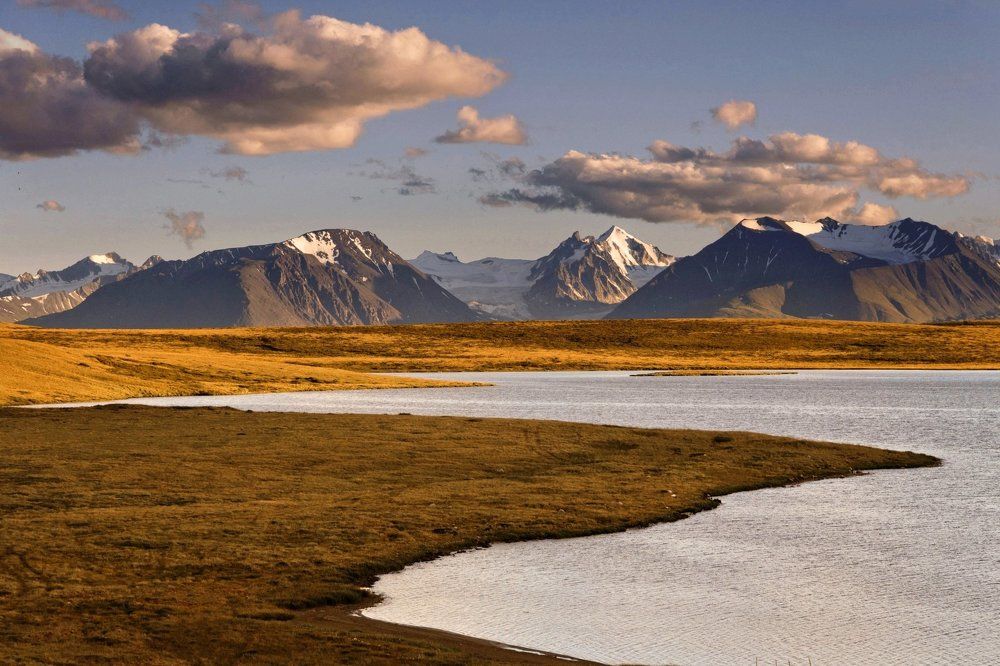 золото Кальджинколя