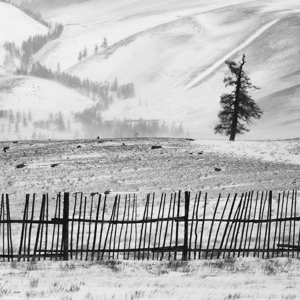 Снежная графика