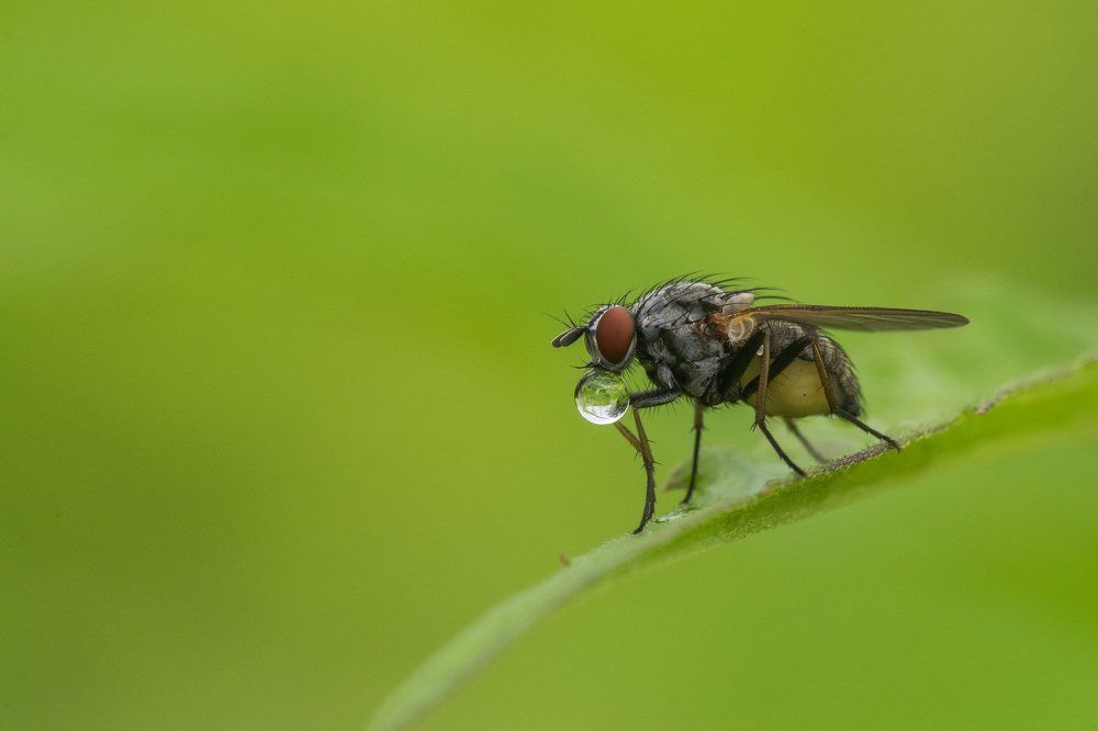 Сфера жизни