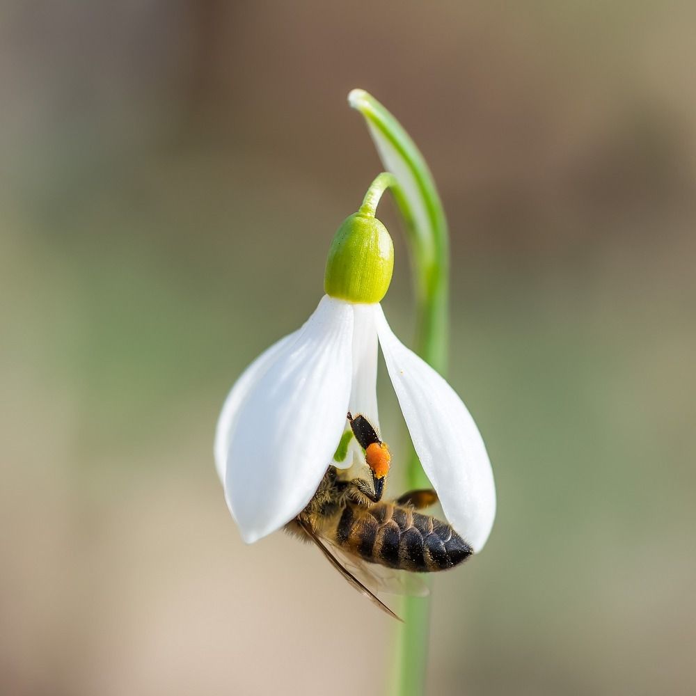 Игры в прятки