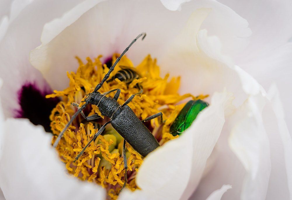 В тесноте, да не в обиде